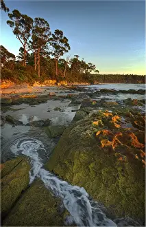 Bruny Island Prints: Views along the pristine coastline of Adventure bay, South Bruny Island, Tasmania