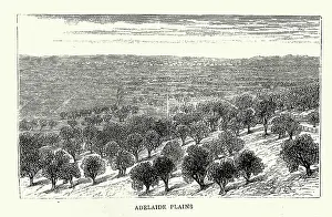 Vintage Prints: Vintage illustration Sketches in South Australia, Adelaide Plains, 1870s, 19th Century