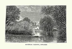 Australia's Rich History Prints: Vintage illustration Sketches in South Australia