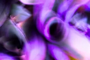 Abstracts Collection: Violet Abstract