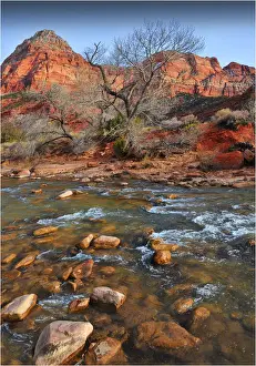 Virgin River Zion national Park in south western United States