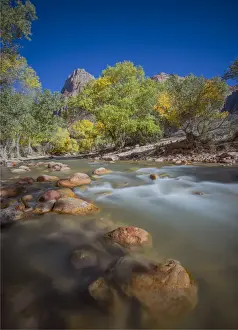 Southwest Usa Prints: Virgin River Zion national Park in south western United States
