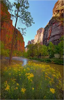 Virgin River Zion national Park in south western United States