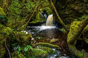 Waherfall on the track to Frenchmans Cap, Franklin-Gordon Wild Rivers National Park, Tasmanis