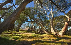 Wallaces hut, Alpine country, Victoria, Australia