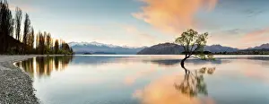 Wanaka - Lone tree sunrise at lake wanaka