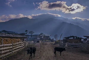Images Dated 8th March 2015: Wangdue Phodrang, Kingdom of Bhutan, Eastern Himalayas