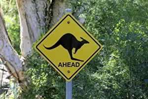 Traffic Prints: Warning sign, Kangaroo, Wilsons Promontory National Park, Victoria, Australia