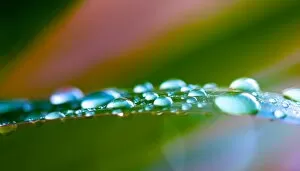 Images Dated 13th June 2016: Water Drops