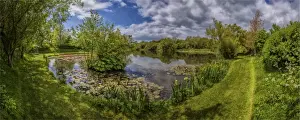 Water Lily Prints: Water gardens at Chickerell