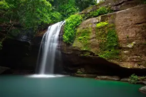 Waterfall in a Forest