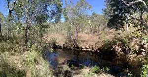 Images Dated 2018 June: Waterhole