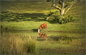At the waters edge