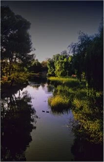 Images Dated 30th January 2013: Waterway and Parklands in the Clare Valley, South Australia