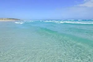 Wave breaking. Pristine ocean. South Australia