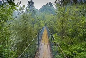 A wet day in the Hokitika Gorge, south island, New Zealand