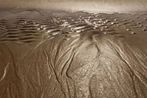 Images Dated 10th June 2014: Wet sand ripples