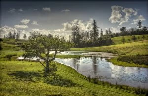 Images Dated 29th October 2012: Wetlands in the Mission valley, Norfolk Island, South Pacific