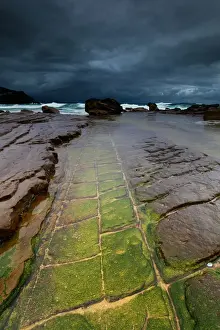 Cracked Prints: Whale Beach Storm
