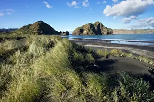 Whatipu wilderness on Aucklands west coast in the Waitakere Ranges Regional Park