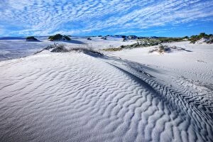 Images Dated 17th September 2010: White Sand Dune at Hangover Bay, Nambung National Park, Western Australia, Australia