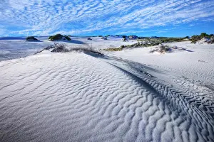 Bay Of Water Prints: White Sand Dune at Hangover Bay, Nambung National Park, Western Australia, Australia