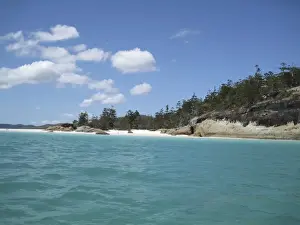 Tropical Tree Prints: White silica sand beach, Hill Inlet