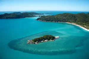 Coral Prints: Whitsunday Islands