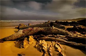 Images Dated 11th December 2013: Wild and scenic, the West coast of Tasmania in the Tarkine region, Australia