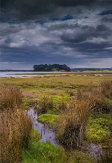 Images Dated 18th April 2017: Wildlife and recreational reserve of Arne, the Isle of Purbeck, Dorset, England, United Kingdom