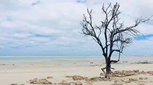 Willie Creek is a picturesque protected tidal estuary situated 38km out of Broome