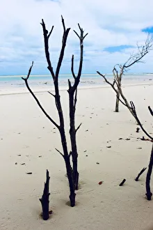 Willie Creek is a picturesque protected tidal estuary situated 38km out of Broome