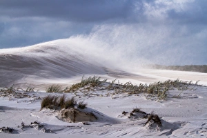 <b class=qtipBold><figcaption>Dunes</figcaption></b><br>Wind blowing the sand and causing sand drift off the beautiful textured dunes. Dunes