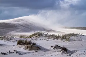 Golden Outback Prints: Dunes