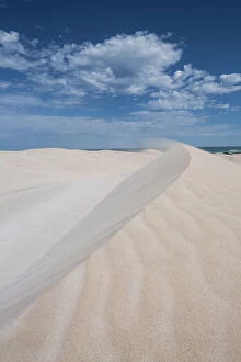 Images Dated 16th September 2015: Wind swept sand dune