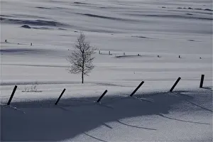 Myvatn Prints: Winter fields near Godafoss
