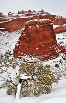 Frozen Water Prints: A winter scene in Arches national Park, Moab, Utah, USA