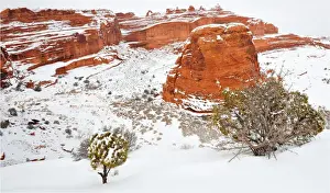 Frozen Water Prints: A winter scene in Arches national Park, Moab, Utah, USA