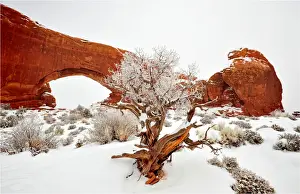 Frozen Water Prints: A winter scene in Arches national Park, Moab, Utah, USA