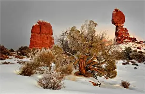 Frozen Water Prints: A winter scene in Arches national Park, Moab, Utah, USA