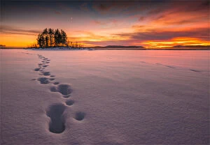 Images Dated 31st January 2017: Winter scene on the coastline of the Baltic sea near Ranea, Lapland, Sweden
