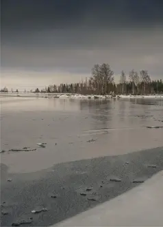 Images Dated 29th January 2017: Winter scene on the coastline of the Baltic sea near Ranea, Lapland, Sweden