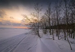 Images Dated 29th January 2017: Winter scene on the coastline of the Baltic sea near Ranea, Lapland, Sweden