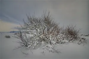 South Central Iceland Prints: A winter scene at Pingvellir, Central Iceland