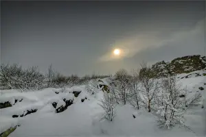 South Central Iceland Prints: A winter scene at Pingvellir, Central Iceland