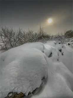 South Central Iceland Prints: A winter scene at Pingvellir, Central Iceland