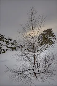South Central Iceland Prints: A winter scene at Pingvellir, Central Iceland