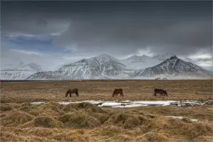 Winter Scenery at Snaefellsvegur, Iceland