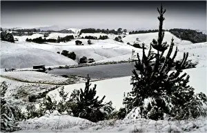 Winter snowstorm, foster, south Gippsland, Victoria, Australia