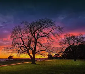 Winter-time and the first light of dawn on the shores of Lake Colac, Western District, Victoria, Australia